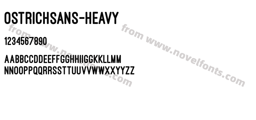 Ostrich Sans HeavyPreview