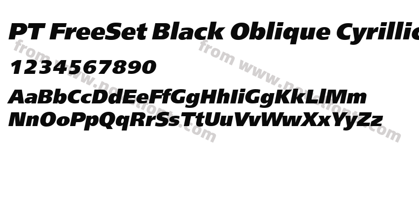 PT FreeSet Black Oblique CyrillicPreview