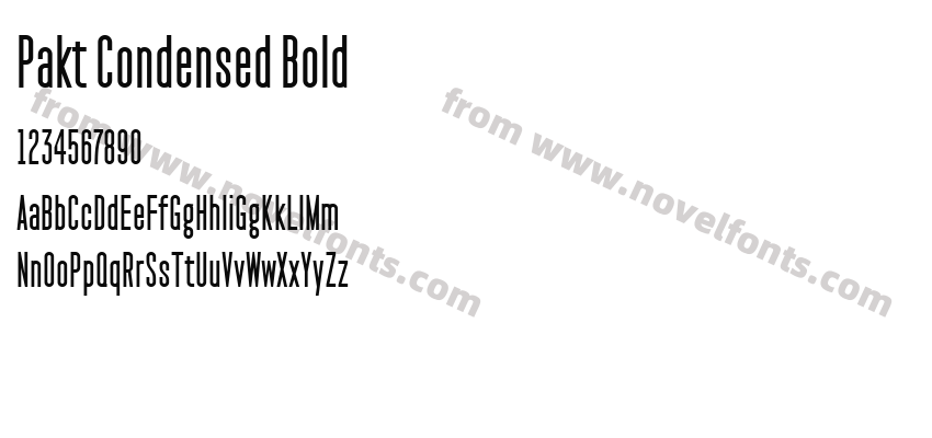 Pakt Condensed BoldPreview