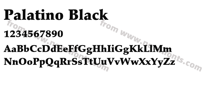 Palatino BlackPreview