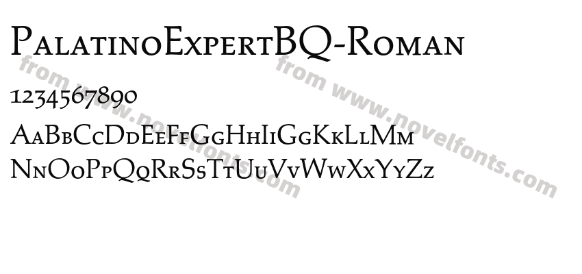 PalatinoExpertBQ-RomanPreview