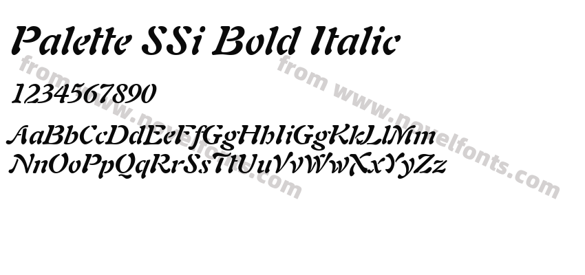 Palette SSi Bold ItalicPreview