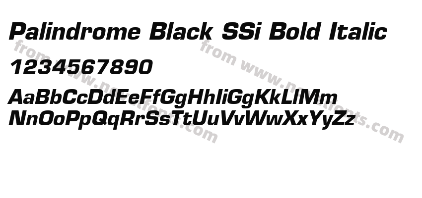 Palindrome Black SSi Bold ItalicPreview