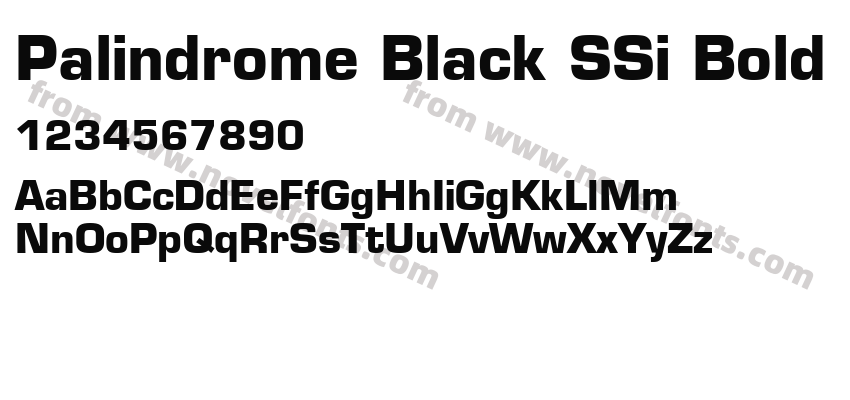 Palindrome Black SSi BoldPreview