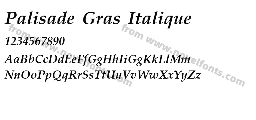 Palisade Gras ItaliquePreview