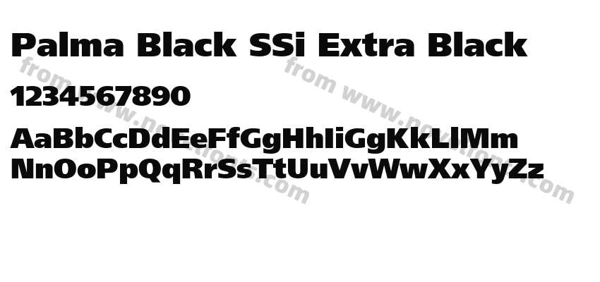 Palma Black SSi Extra BlackPreview