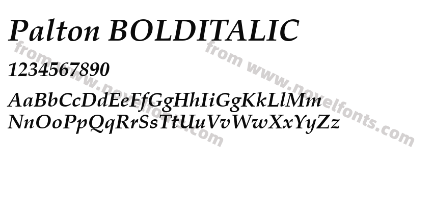 Palton BOLDITALICPreview