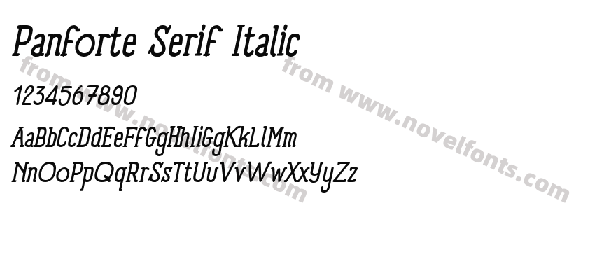 Panforte Serif ItalicPreview