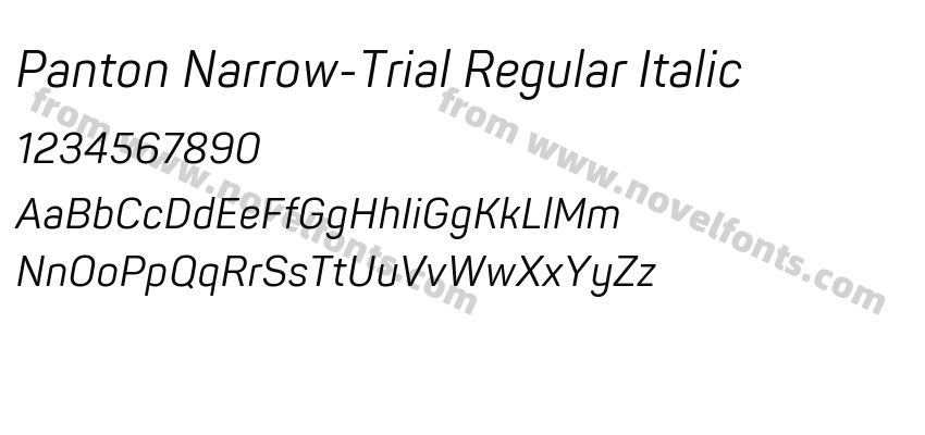 Panton Narrow-Trial Regular ItalicPreview