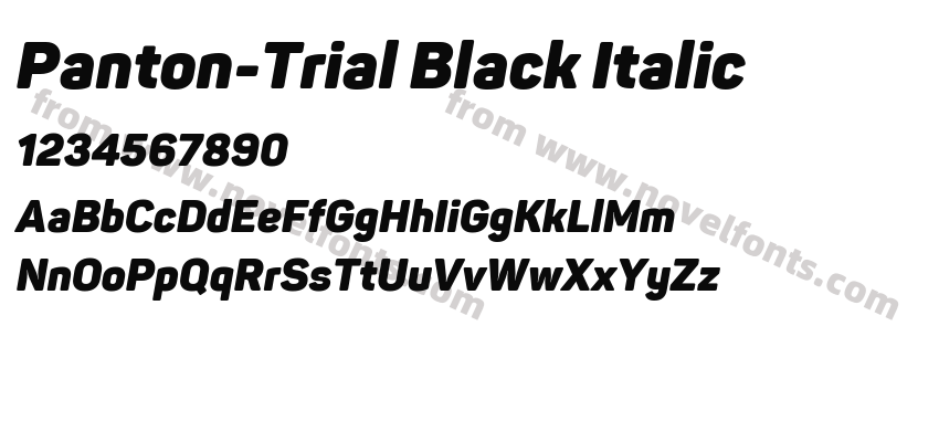 Panton-Trial Black ItalicPreview