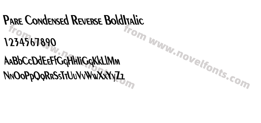 Pare Condensed Reverse BoldItalicPreview