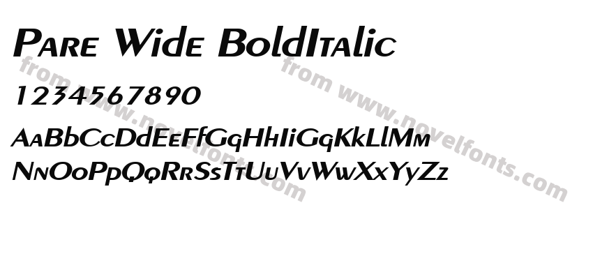 Pare Wide BoldItalicPreview