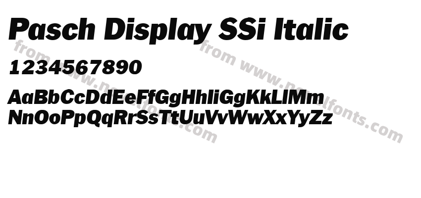 Pasch Display SSi ItalicPreview