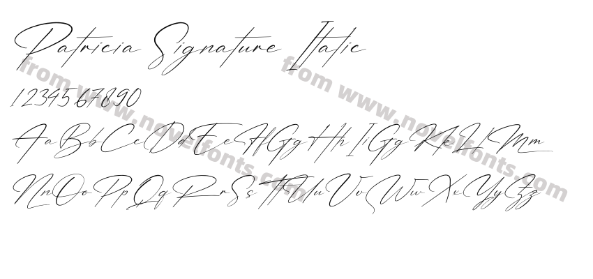 Patricia Signature ItalicPreview