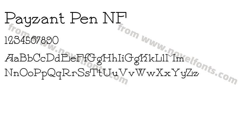 Payzant Pen NFPreview