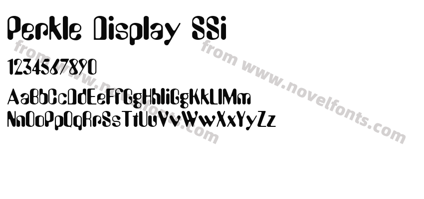Perkle Display SSiPreview