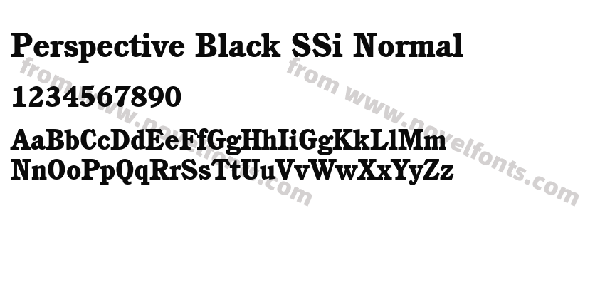 Perspective Black SSi NormalPreview