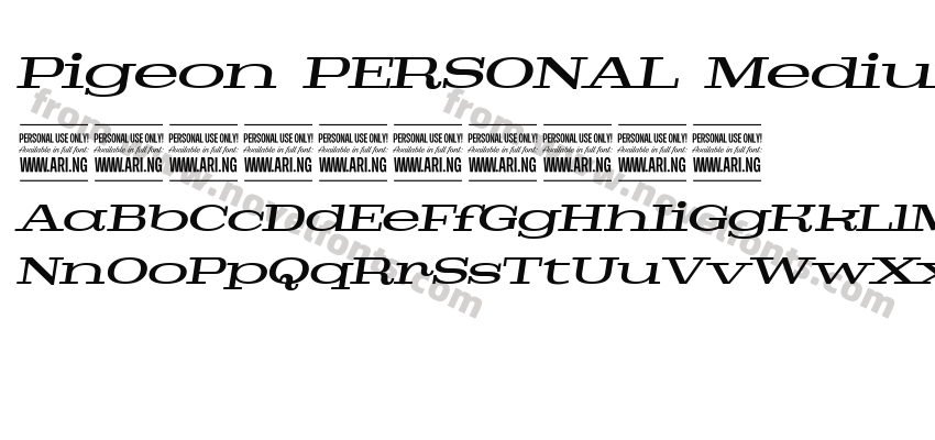 Pigeon PERSONAL Medium ItalicPreview