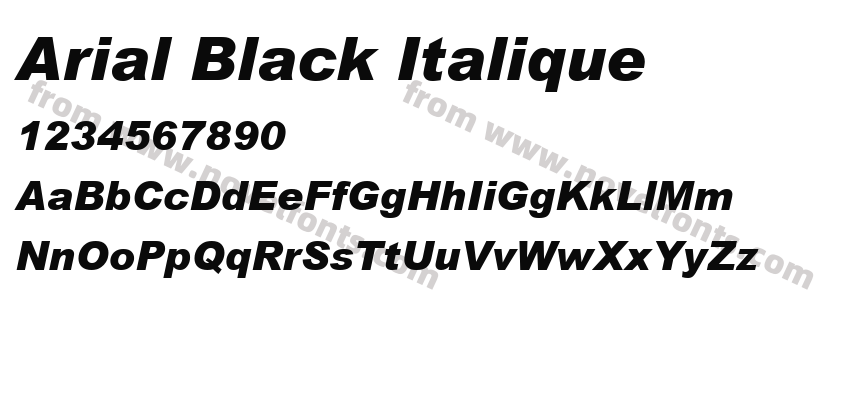 Arial Black ItaliquePreview