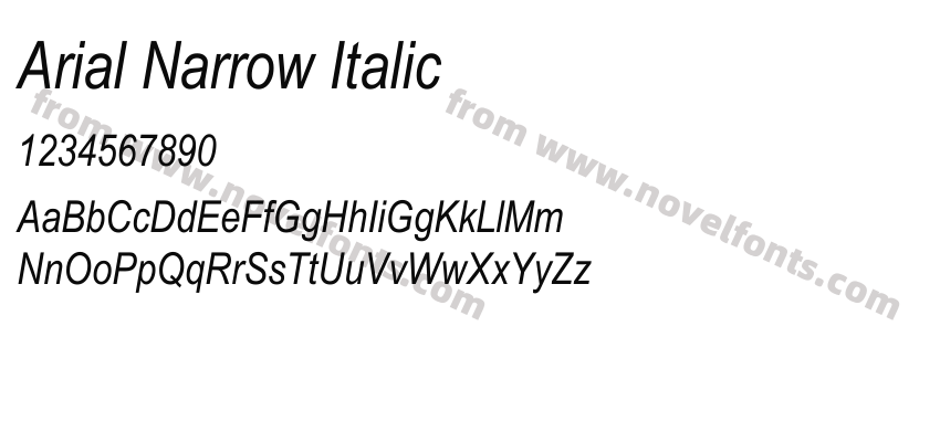 Arial Narrow ItalicPreview