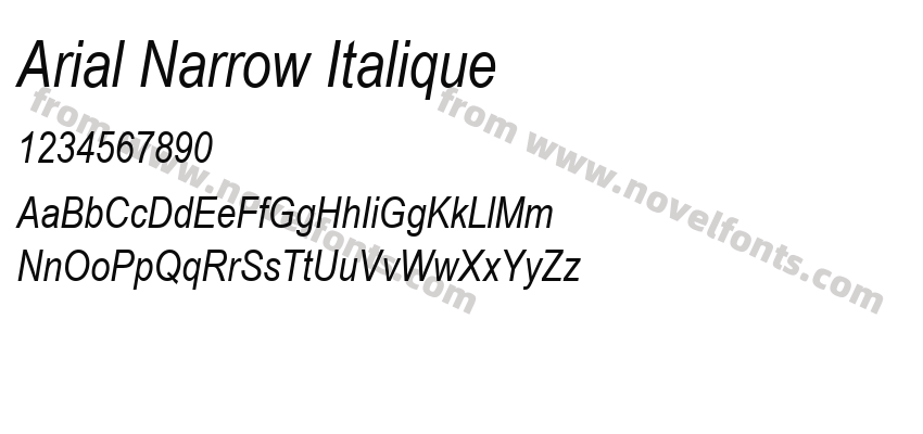 Arial Narrow ItaliquePreview