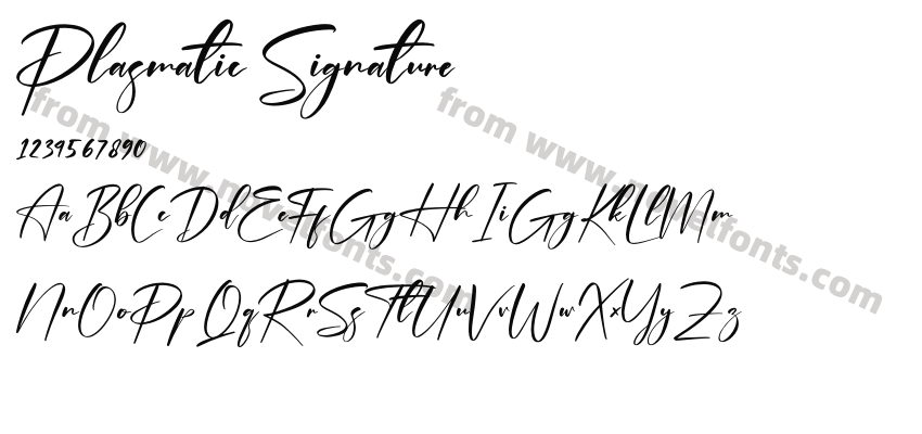 Plasmatic SignaturePreview