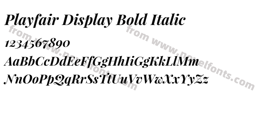 Playfair Display Bold ItalicPreview