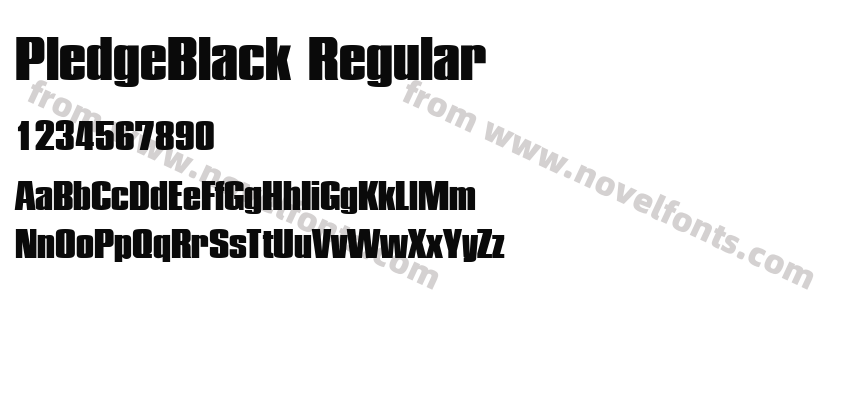 PledgeBlack RegularPreview