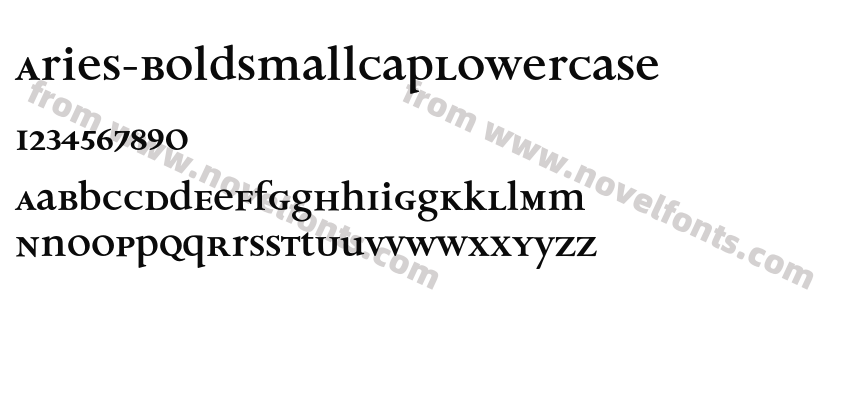 Aries-BoldSmallCapLowerCasePreview