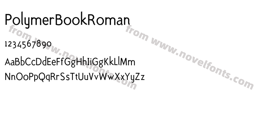 PolymerBookRomanPreview