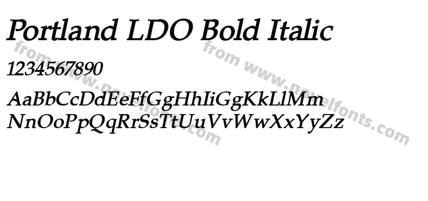 Portland LDO Bold ItalicPreview