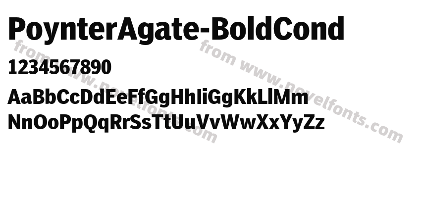 Poynter Agate Bold CondPreview