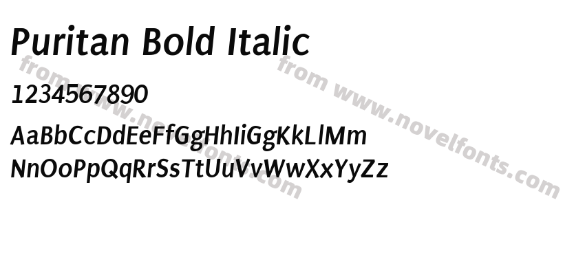 Puritan Bold ItalicPreview