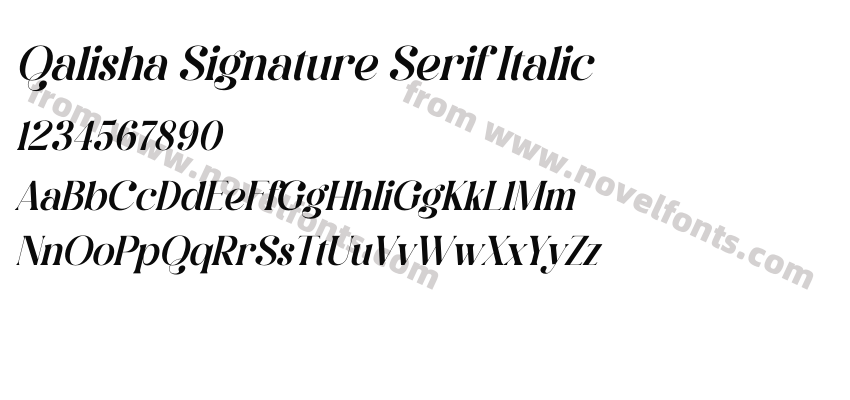 Qalisha Signature Serif ItalicPreview