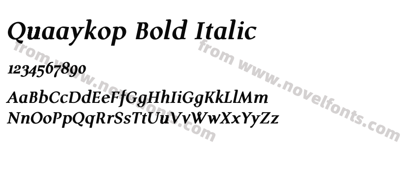 Quaaykop Bold ItalicPreview