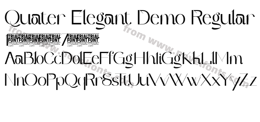 Quater Elegant Demo RegularPreview