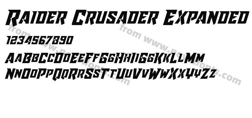 Raider Crusader ExpandedPreview