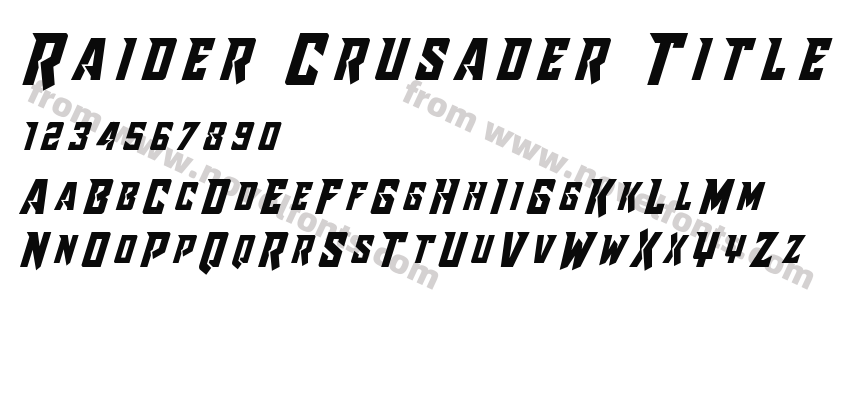 Raider Crusader TitlePreview