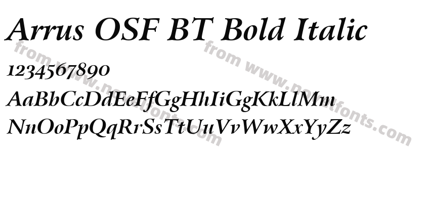 Arrus OSF BT Bold ItalicPreview