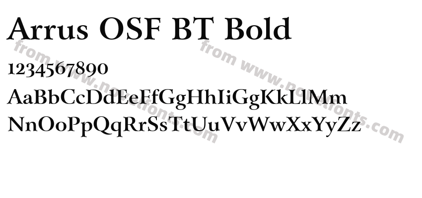 Arrus OSF BT BoldPreview