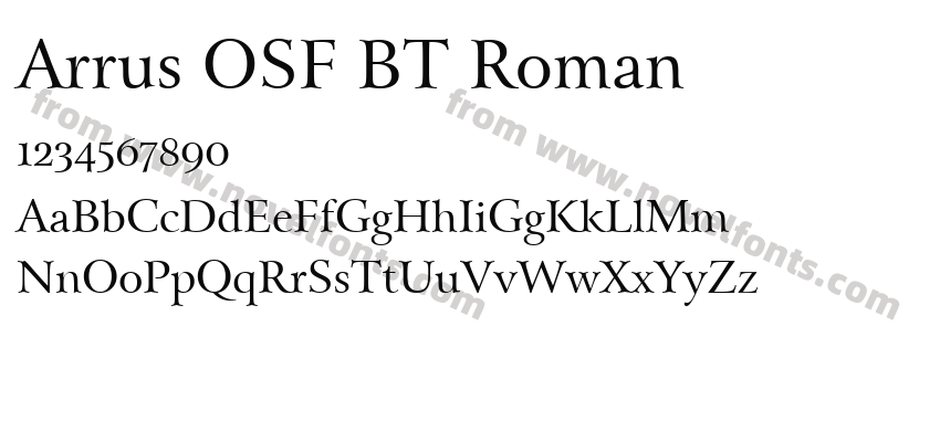 Arrus OSF BT RomanPreview