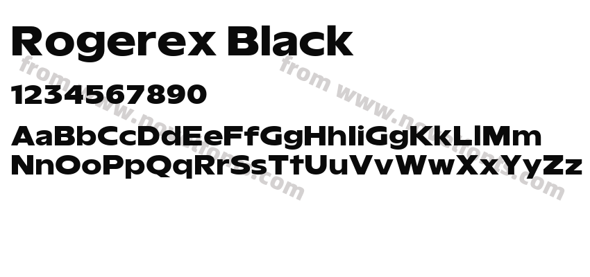 Rogerex BlackPreview