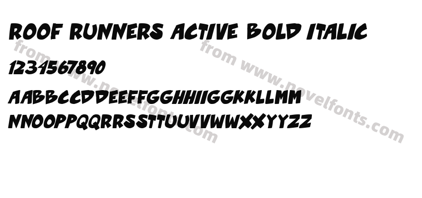 Roof runners active Bold ItalicPreview