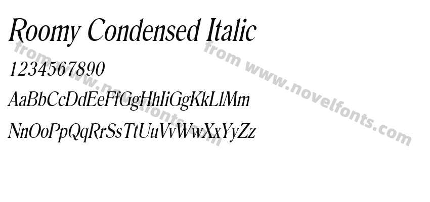 Roomy Condensed ItalicPreview