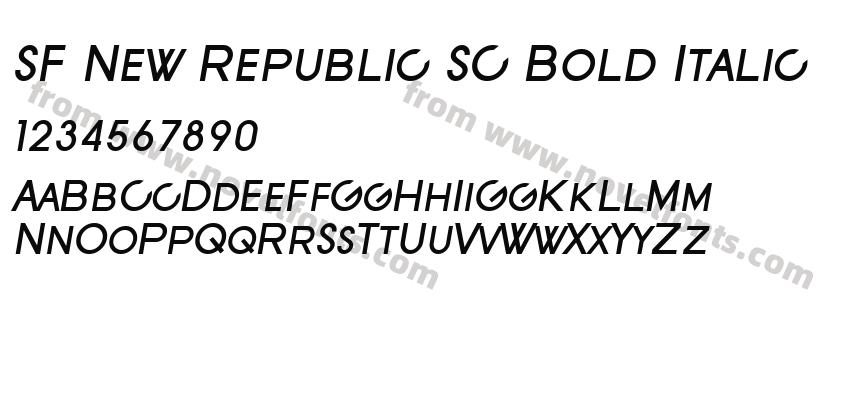 SF New Republic SC Bold ItalicPreview