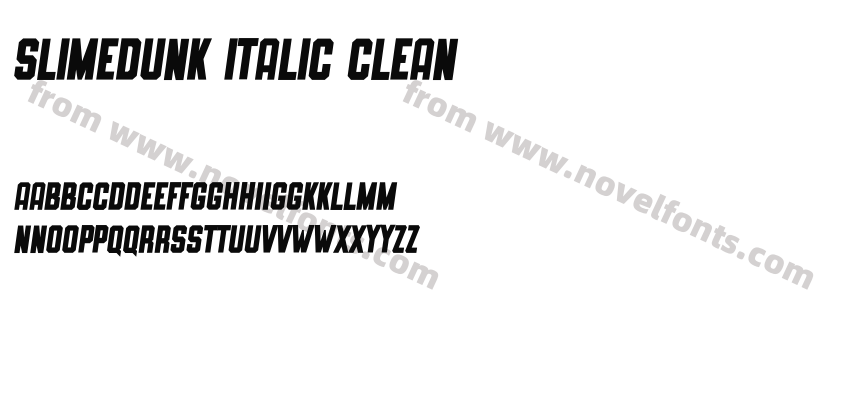 SLIMEDUNK ITALIC CLEANPreview