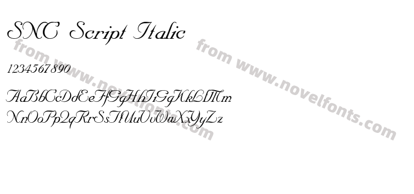 SNC Script ItalicPreview