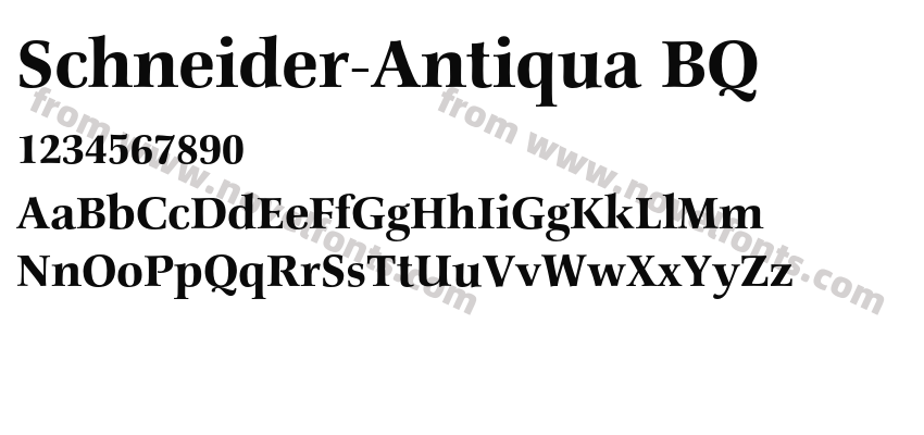 Schneider-Antiqua BQPreview