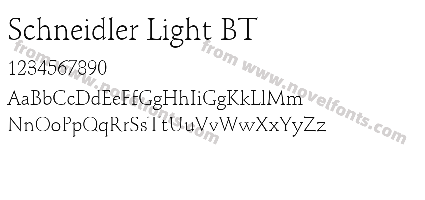 Schneidler Light BTPreview