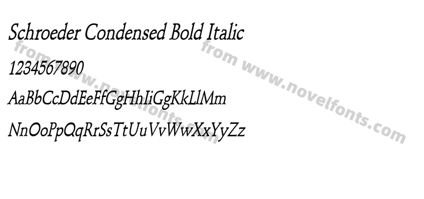 Schroeder Condensed Bold ItalicPreview